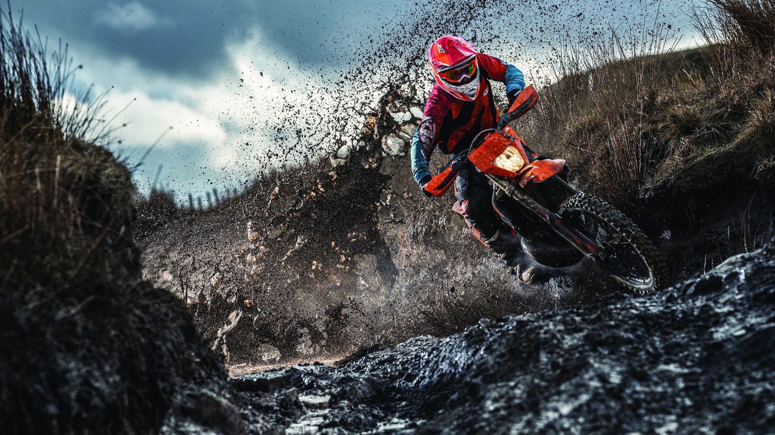 美洲杯英雄辈出：逆境中彰显无敌斗志，美洲杯冠军分析