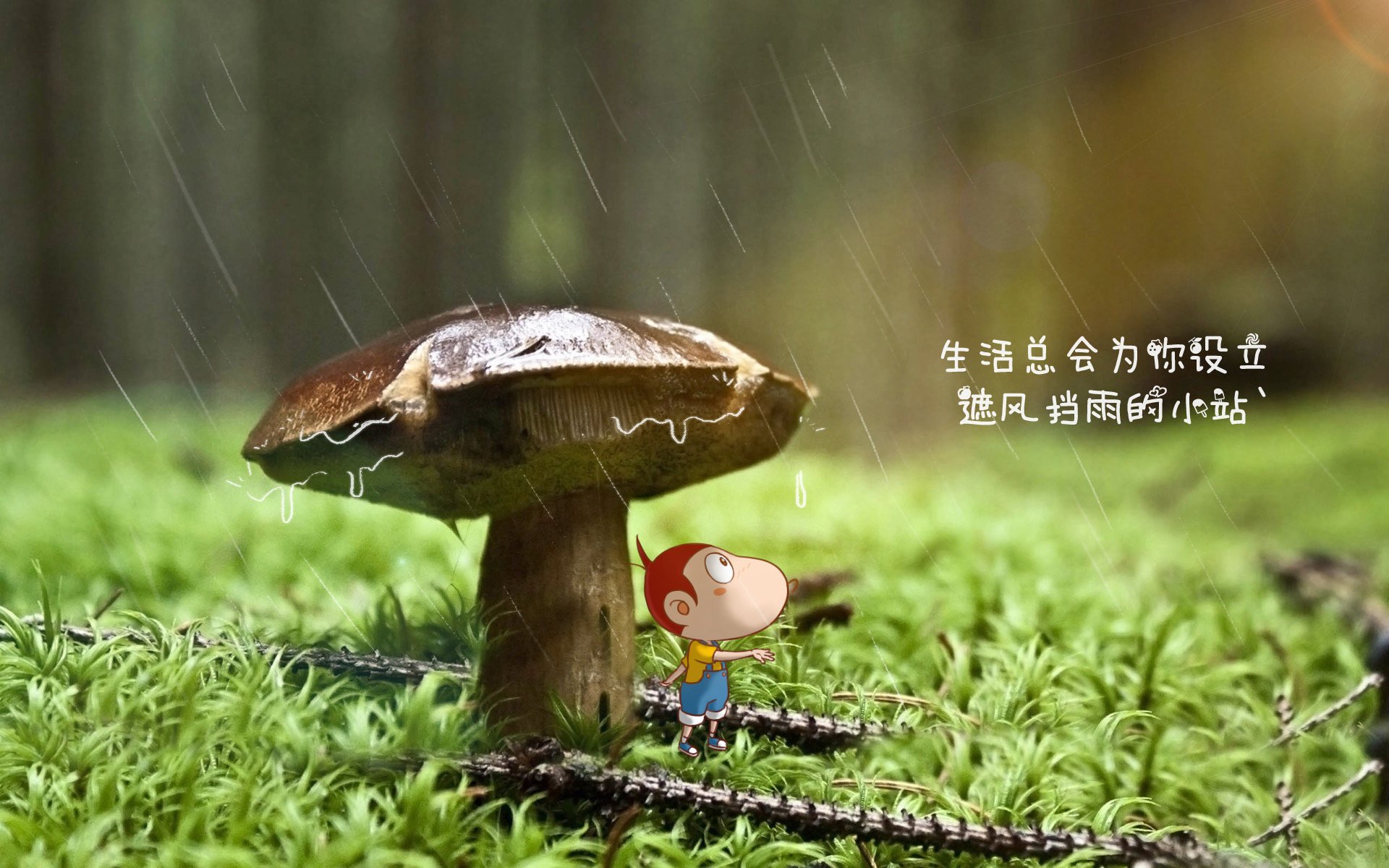 Kaiyun APP-_体育赛事中的绿色环保：低碳运动新风尚_，体育赛事环境污染