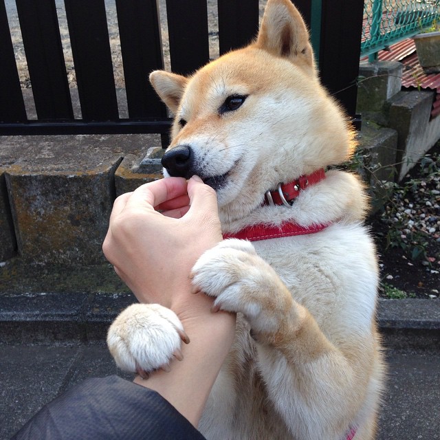 开云电竞平台注册-《Dota 2“惊天逆转”，传奇精彩不断》，dota2精彩集锦top10