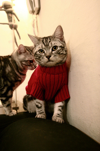 开云体育俱乐部官网-《《使命召唤》动作优化，性能提升玩家体验显著改善》，使命召唤效果